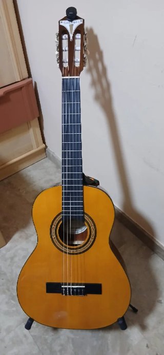 Guitarra Epiphone PRO-1 Classic