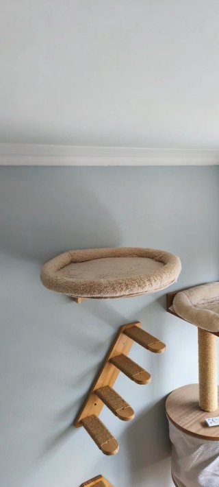 Modulo murale circolare, stile camita, per gatti