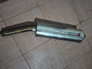 Escape Dominator para BMW F 650 GS