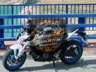 Despiece Suzuki GSX-8S