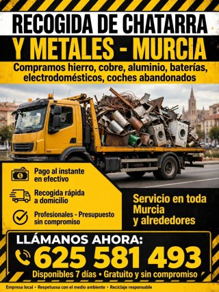 Se vende coche