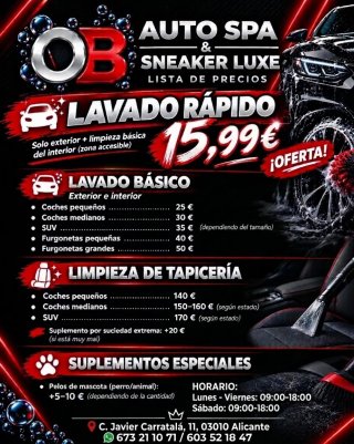 Lavado coche