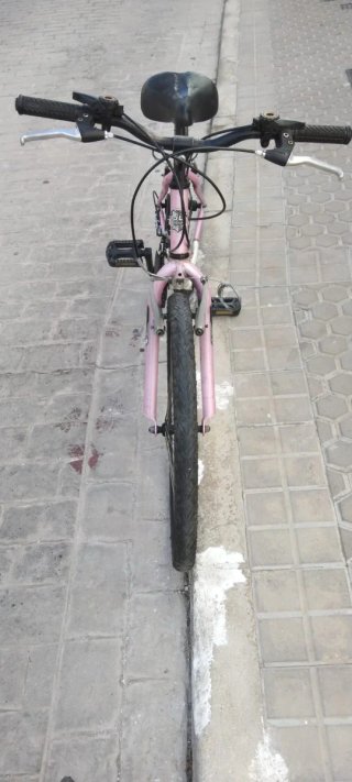 Bicicleta Infantil JL Wenty 24 pulgadas Rosa