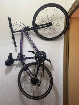Bicicleta Rin 26 Morada