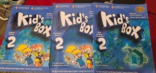 Kid's Box Level 2 Activity Book with CD-ROM Upd...