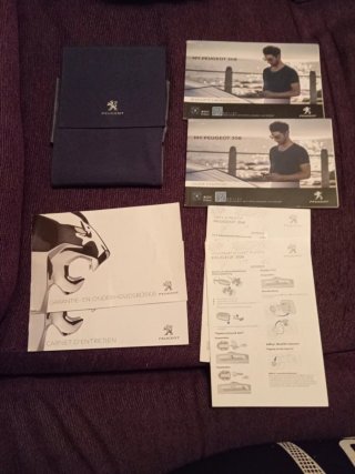 Manuales y documentación Peugeot 308.