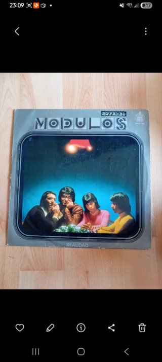 Vinilo Módulos - Realidad
