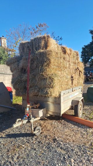Lote de pacas de hierba seca