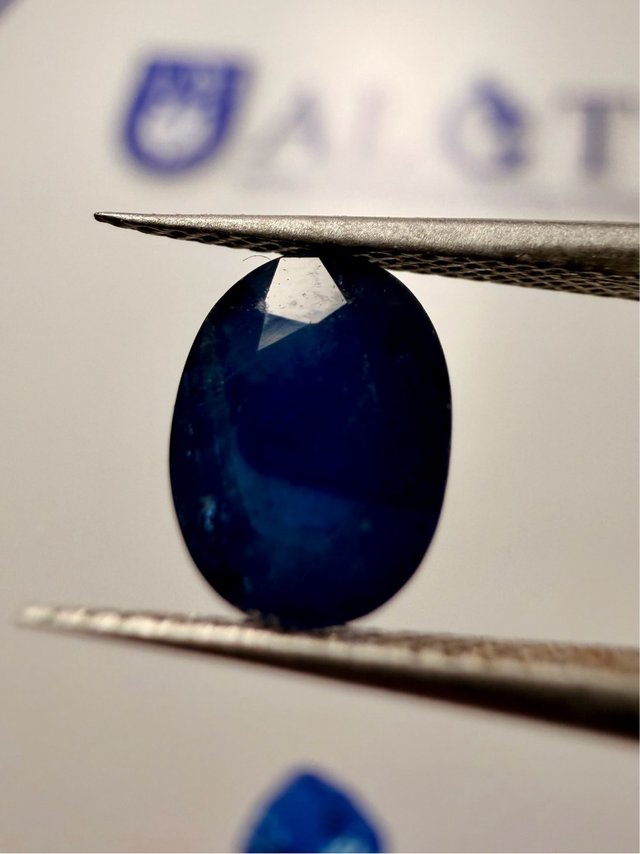 Zafiro Azul Natural 1,56 Ct Certificado