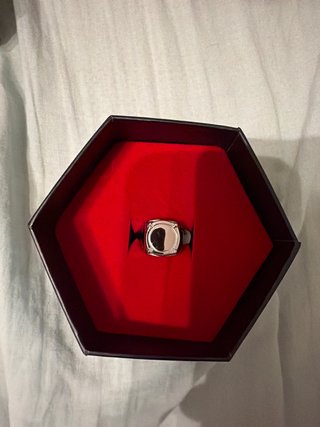 Anillo Adrien Agreste Miraculous Ladybug