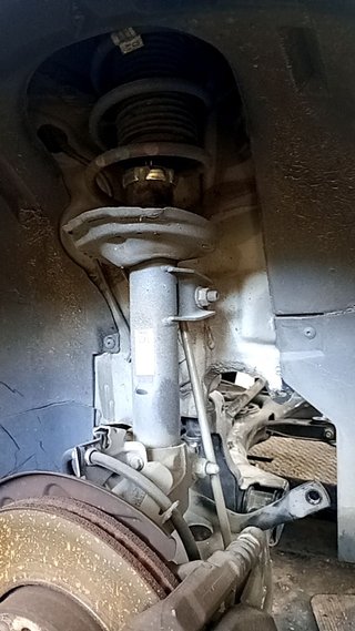 AMORTIGUADOR DELANTERO DERECHO Seat Leon (5F1)