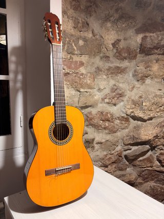 Guitarra Española Hispana PAN 35
