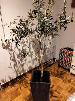 Olivo Artificial con Maceta