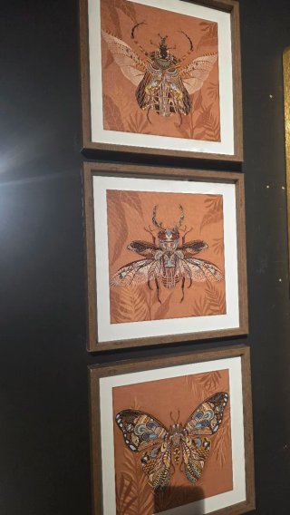 Set de 3 Cuadros de Insectos 40x40cm