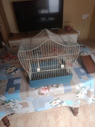Jaula Pedros para pájaros