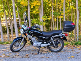 YAMAHA YBR 125 CUSTOM