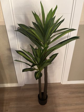 Planta Artificial Drácena