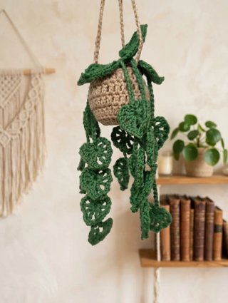 Pianta Monstera all'Uncinetto