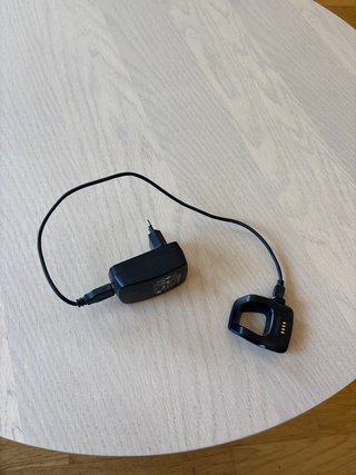 Caricatore Garmin Forerunner 305