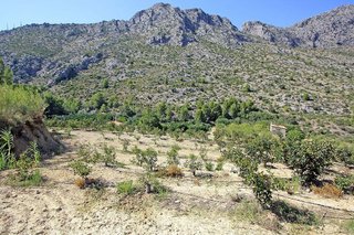 Terreno en venta en Beniarbeig