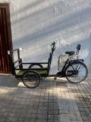 Triciclo de carga Babboe