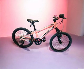 Bicicleta Infantil Monty 20