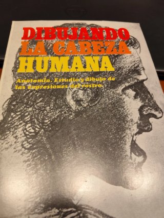Dibujando la cabeza humana