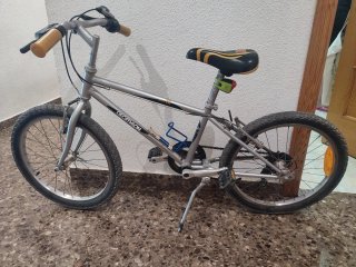 Bicicleta niño 20 pulgadas
