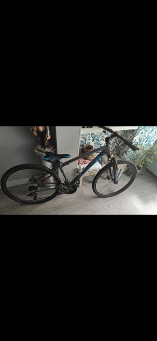 Bicicleta de Montaña Ruedas desinfladas