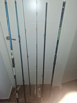 Set di 2 Canne da Pesca