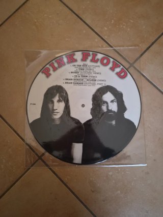 Vinile Picture Disc Pink Floyd