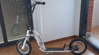 Patinete Grande con Ruedas de Radios