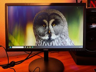 Monitor Nilox 18,5 pulgadas