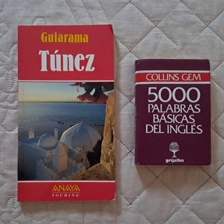 Guía de viaje Túnez + diccionario