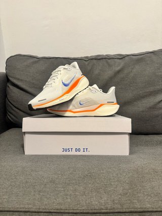 nike air zoom pegasus 41 talla 42