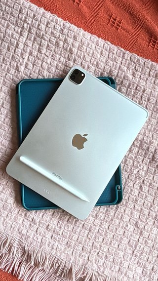 iPad Pro + Pencil con cajas y accesorios (URGE)