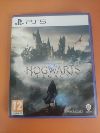 Hogwarts Legacy (PlayStation 5) PS5