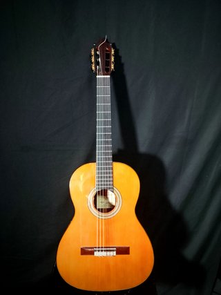 Guitarra Flamenca Álvarez y Bernal Pro Palosanto