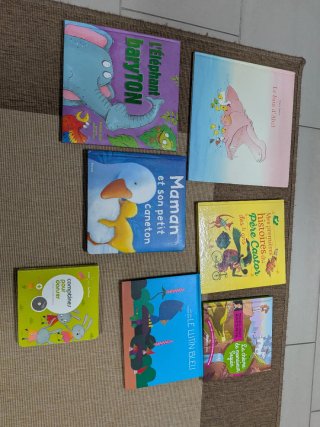 Lote de 7 libros en francés