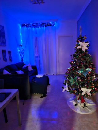 Alquilo habitacion