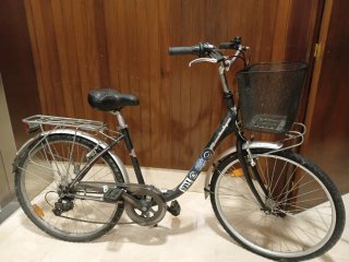 Bicicleta paseo