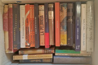 Caja Lote CHOLLO de 24 libros variados