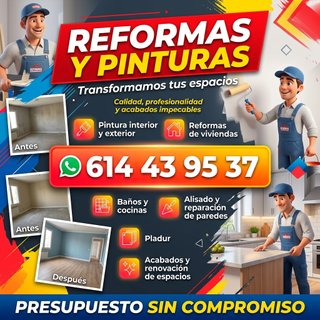 PINTOR Y REFORMAS