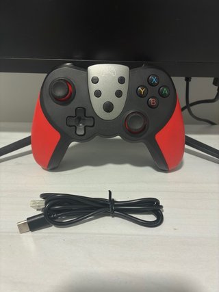 Controller per Nintendo Switch con cavo
