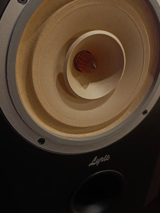 Altavoces Lyritech Riverside 8 Silver Edition