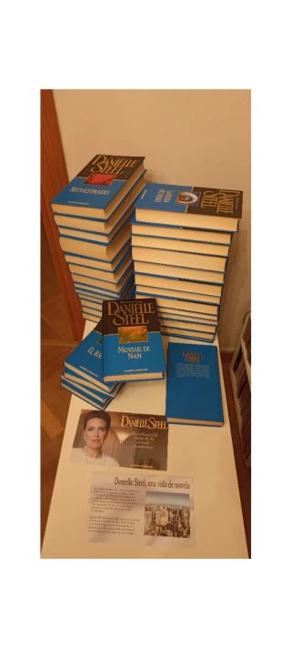 Colección 32 Libros Danielle Steel
