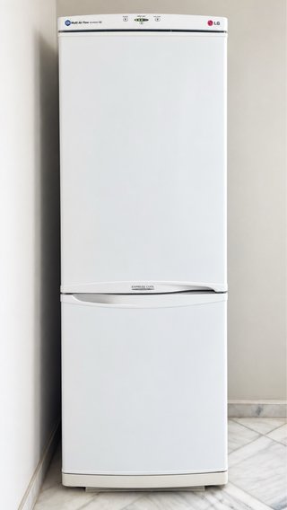 Nevera LG Blanca con Congelador
