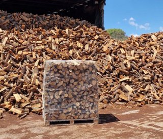 Leña de Pino y Roble