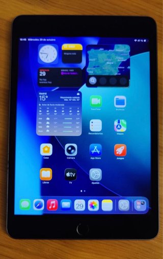 iPad mini 5 Space Gray