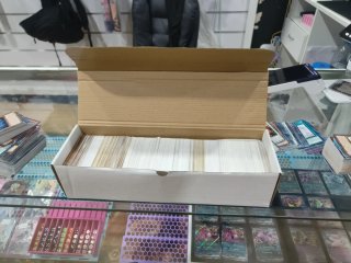 Caja de cartas comunes Yu-Gi-Oh!